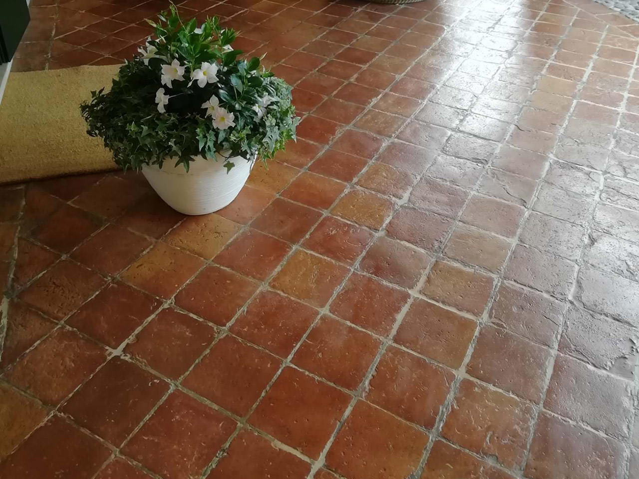 Before Image