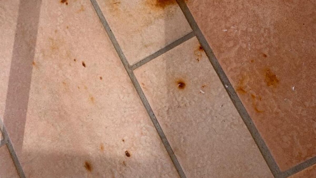Macchie di Ruggine da Fertilizzante su mattonelle in gres